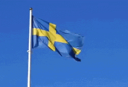 Sweden Flag In Sky