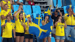 Sweden Football Fans Cheering