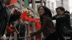 Sweep The Leg Kung Fu Nicky Shen GIF