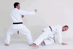 Sweep The Leg Two Men Doing Karate GIF