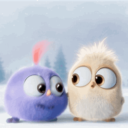Sweet Angry Birds Hatchlings  GIF