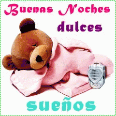 Sweet Bear Sleeping Linda Noche GIF