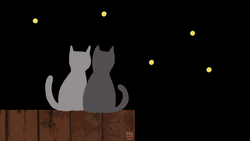 Sweet Cats Cute Happy New Year GIF