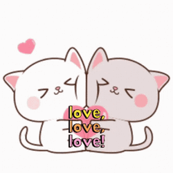 Sweet Couple Cats Amor GIF