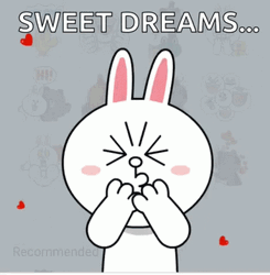 Sweet Dreams Love Hearts Cony GIF