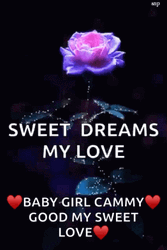Sweet Dreams My Love Baby Girl Cammy GIF