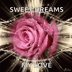 Sweet Dreams My Love Dazzling Pink Rose GIF