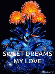 Sweet Dreams My Love Glowing Sparkling Dandelion Flower GIF