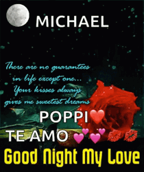 Sweet Dreams My Love Michael Poppi Te Amo GIF