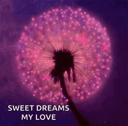 Sweet Dreams My Love Sparkling Dandelion Flower GIF