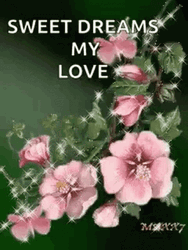 Sweet Dreams My Love Sparkling Hibiscus Flower GIF