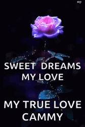 Sweet Dreams My Love True Cammy Glowing Flower GIF