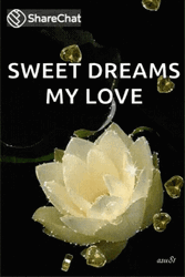 Sweet Dreams My Love Water Lilies Flower Hearts GIF