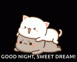Sweet Dreams Peach And Goma Cat
