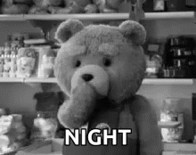 Sweet Dreams Ted Bear