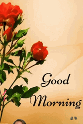 Sweet Good Morning Girl Floating GIF