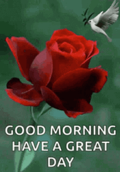 Sweet Good Morning Have A Great Day GIF