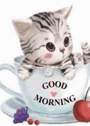 Sweet Good Morning Kitten GIF