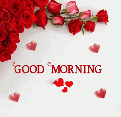 Sweet Good Morning Love Roses GIF