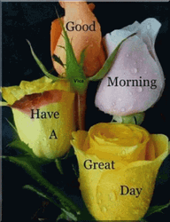 Sweet Good Morning Rose Flowers GIF
