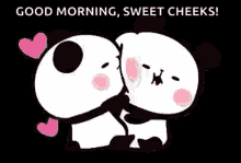 Sweet Panda Couple Cuddling GIF