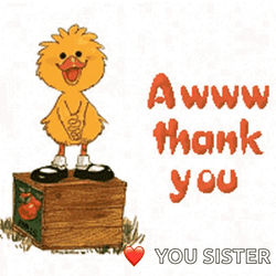 Sweet Sister Aw Thank You GIF