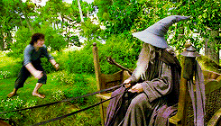 Sweet Smeagol Hugging Hobbit  GIF