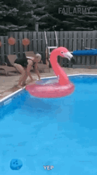 Swim In The Pool GIF