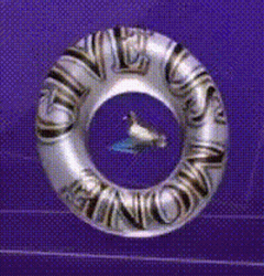 Swim Ring Duck Spinning  GIF