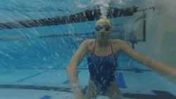 Swimmer Athlete Underwater GIF