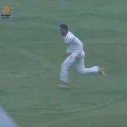 Swimming Crickets Meme Game GIF