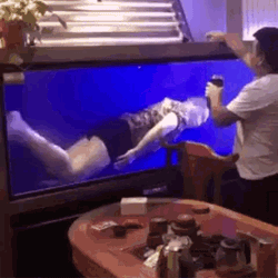 Swimming Feeding GIF