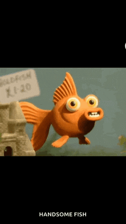Swimming Fish GIF