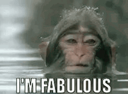 Swimming Monkey Im Fabulous GIF