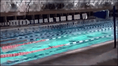 Swimming Pool With Red And White Lane GIF