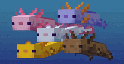 Swimming Together Axolotl Meme  GIF