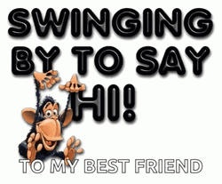 Swinging By Say Hello To My Little Friend GIF