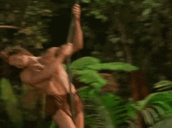 Swinging George Of The Jungle