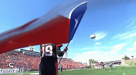 Swinging The Flag Texas GIF