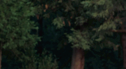 Sword Fight Fencing Battle GIF