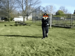 Sword Fight Shiboshis Boshi GIF