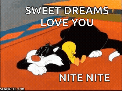 Sylvester And Tweety Lying On Floor GIF