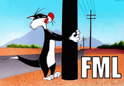Sylvester Bugs Bunny Banging Head Against Wall  GIF