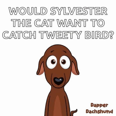 Sylvester Cat Chasing Tweety Bird GIF