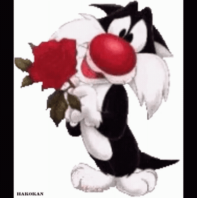 Sylvester Holding Red Rose GIF