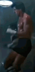 Sylvester Stallone Rocky Balboa Training GIF