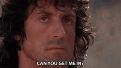 Sylvester Stallone Serious Put Me In Coach GIF