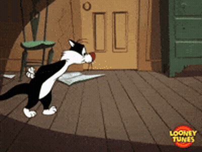 Sylvester Standing On Wooden Floor GIF