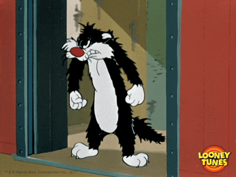 Sylvester The Cat From Looney Tunes Is Standing In The Doorway GIF