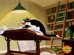 Sylvester The Cat Study Hard At Night